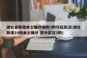湖北省新增本土确诊病例3例均在武汉(湖北新增14例本土确诊 其中武汉3例)