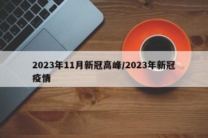 2023年11月新冠高峰/2023年新冠疫情
