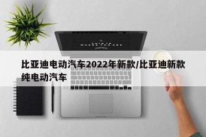 比亚迪电动汽车2022年新款/比亚迪新款纯电动汽车