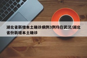 湖北省新增本土确诊病例3例均在武汉/湖北省份新增本土确诊
